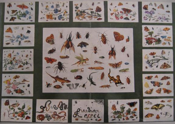 Jan van Kessel the Elder, Insects and Reptiles, 1658 Upperville Oak spring garden library